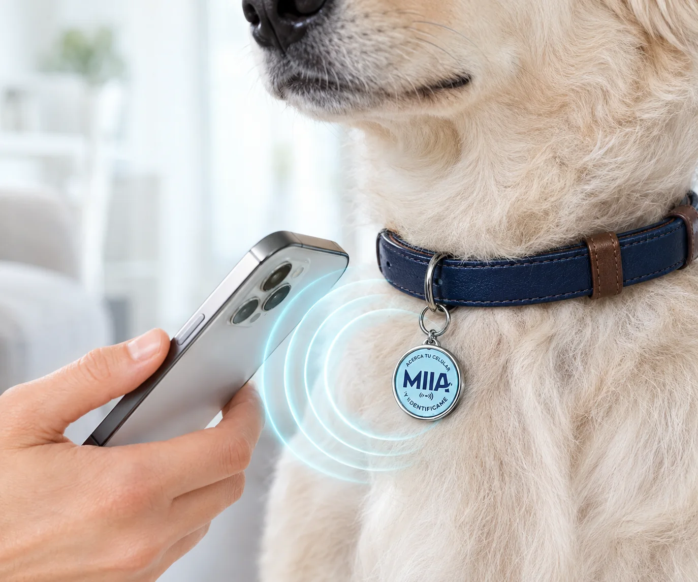 Una persona acerca el celular a la placa MIIA del collar de un perro para identificarlo